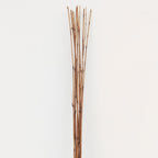 Brown Bamboo