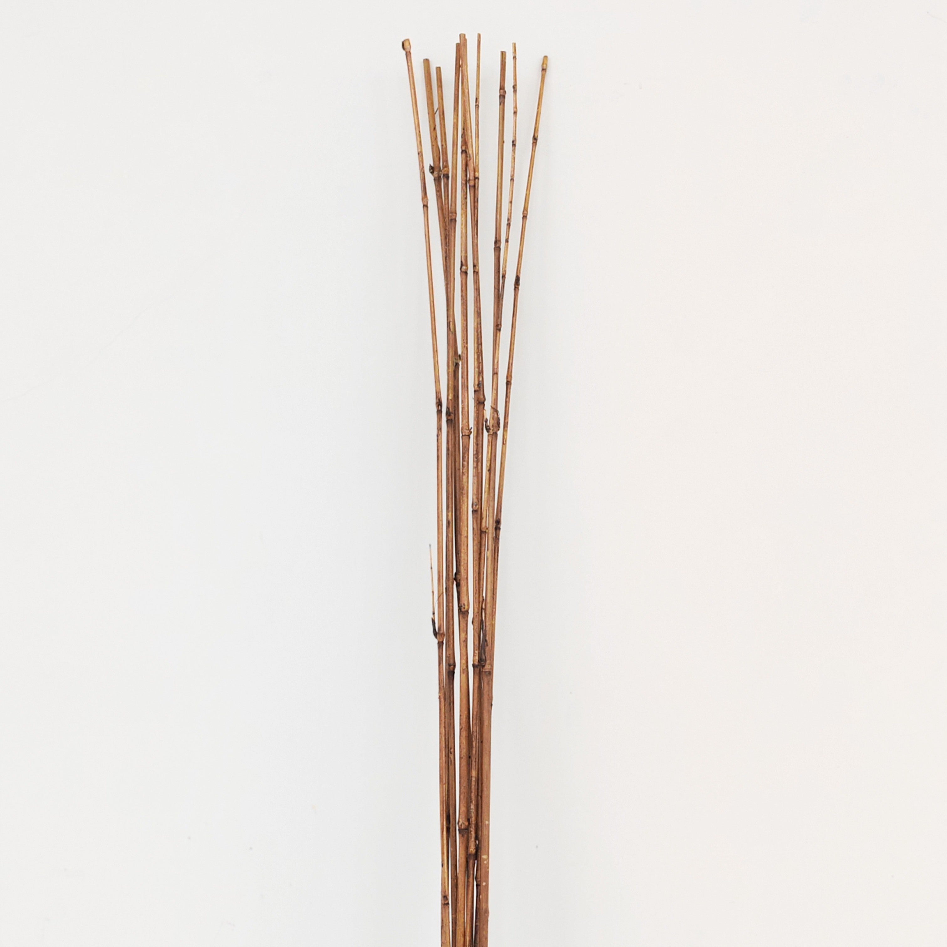 Brown Bamboo