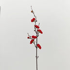 CNY Artificial Wintersweet Flower 60CM (5 Stems)
