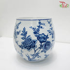 Q1B3Z Blue White Porcelain