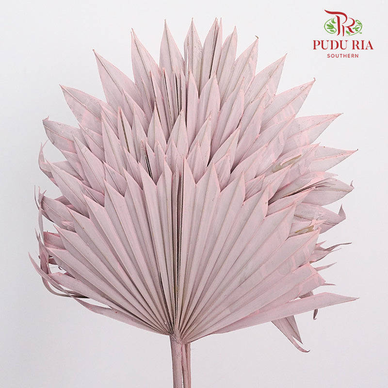 Dry Palm Dyed Light Purple (5 Stems)