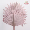 Dry Palm Dyed Light Purple (5 Stems)