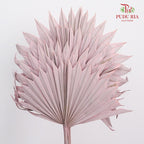 Dry Palm Dyed Light Purple (5 Stems)