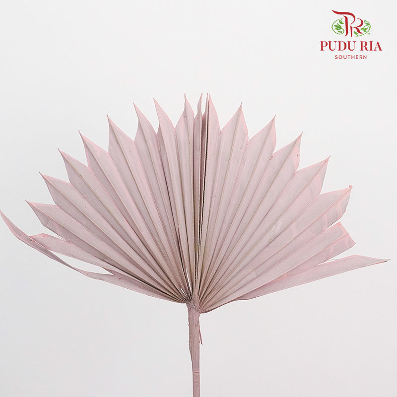 Dry Palm Dyed Light Purple (5 Stems)
