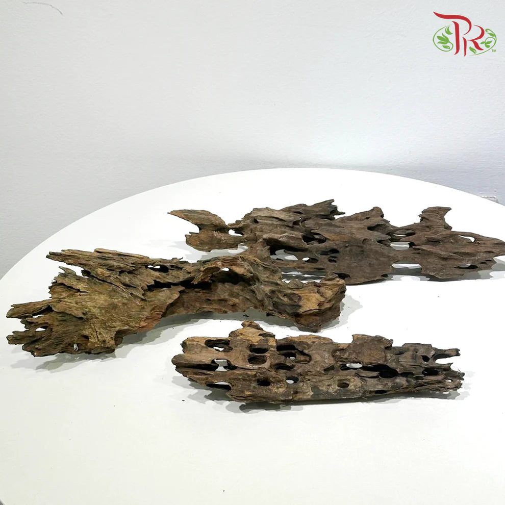 HONEYCOMB WOOD 蜂窝木 1KG