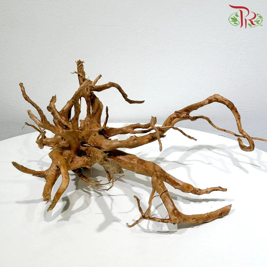 DUJUANGEN 杜鹃根 1KG