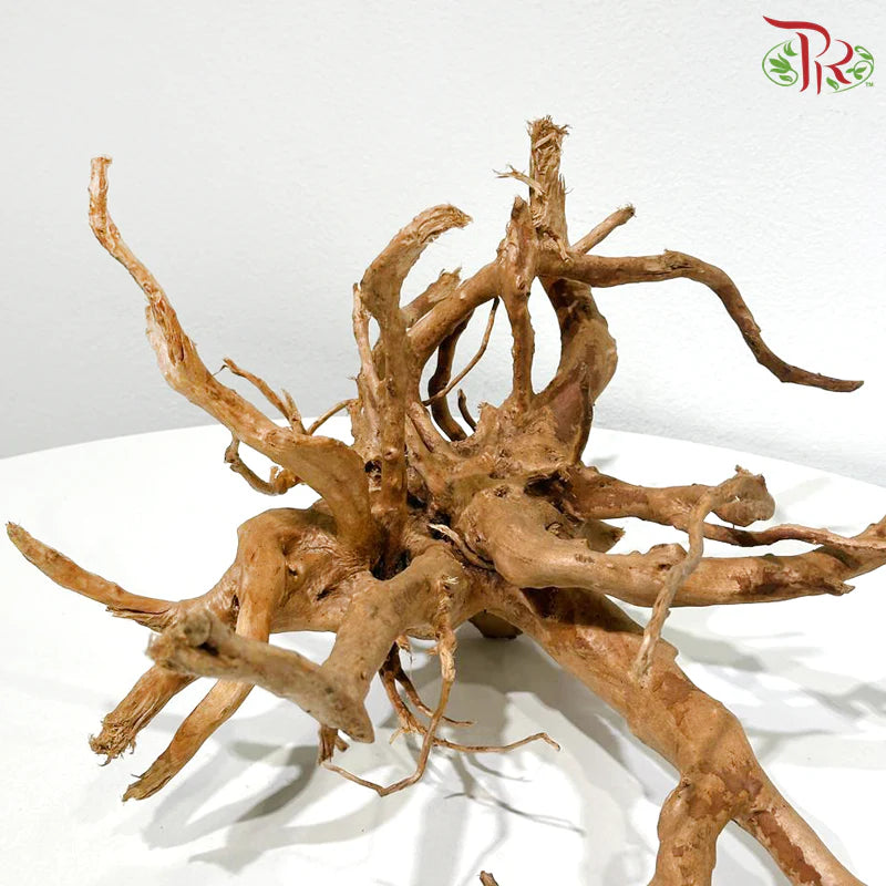 DUJUANGEN 杜鹃根 1KG