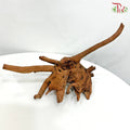 Fine Sunken Wood 抛光沉木 1kg