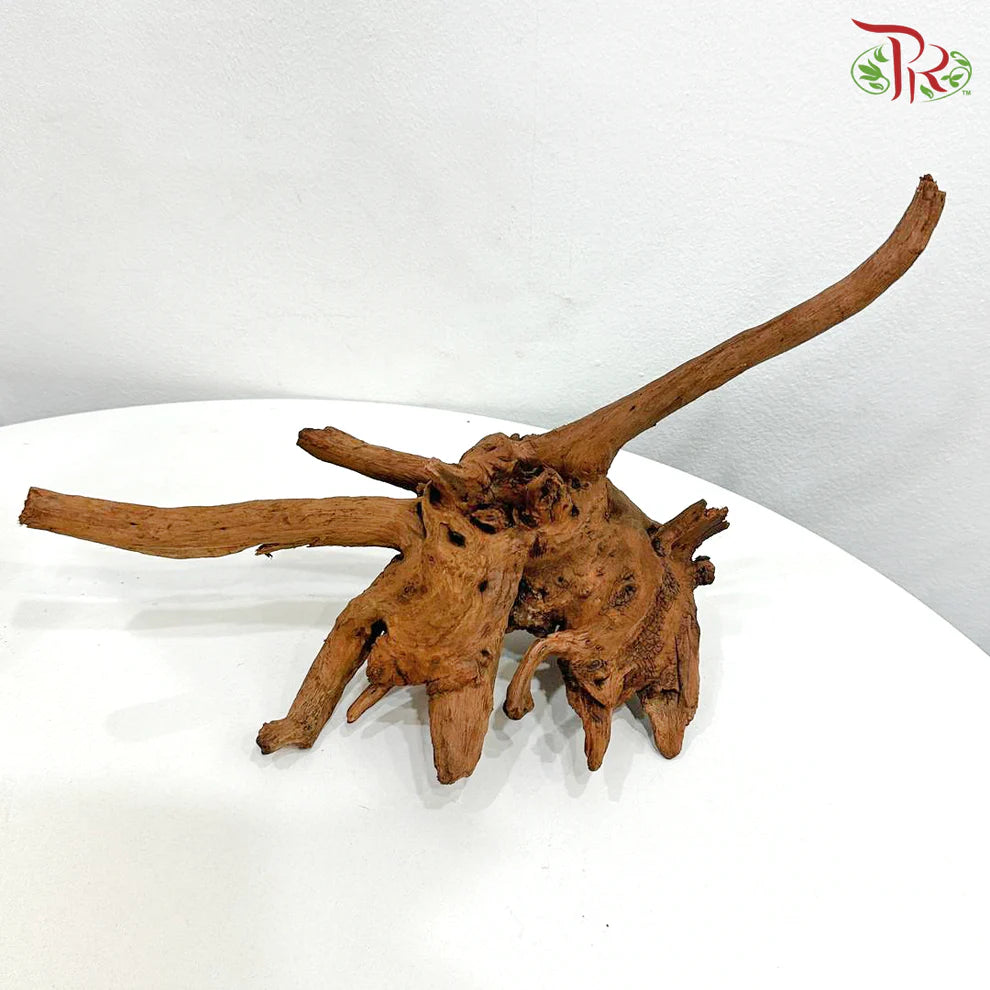 Fine Sunken Wood 抛光沉木 1kg