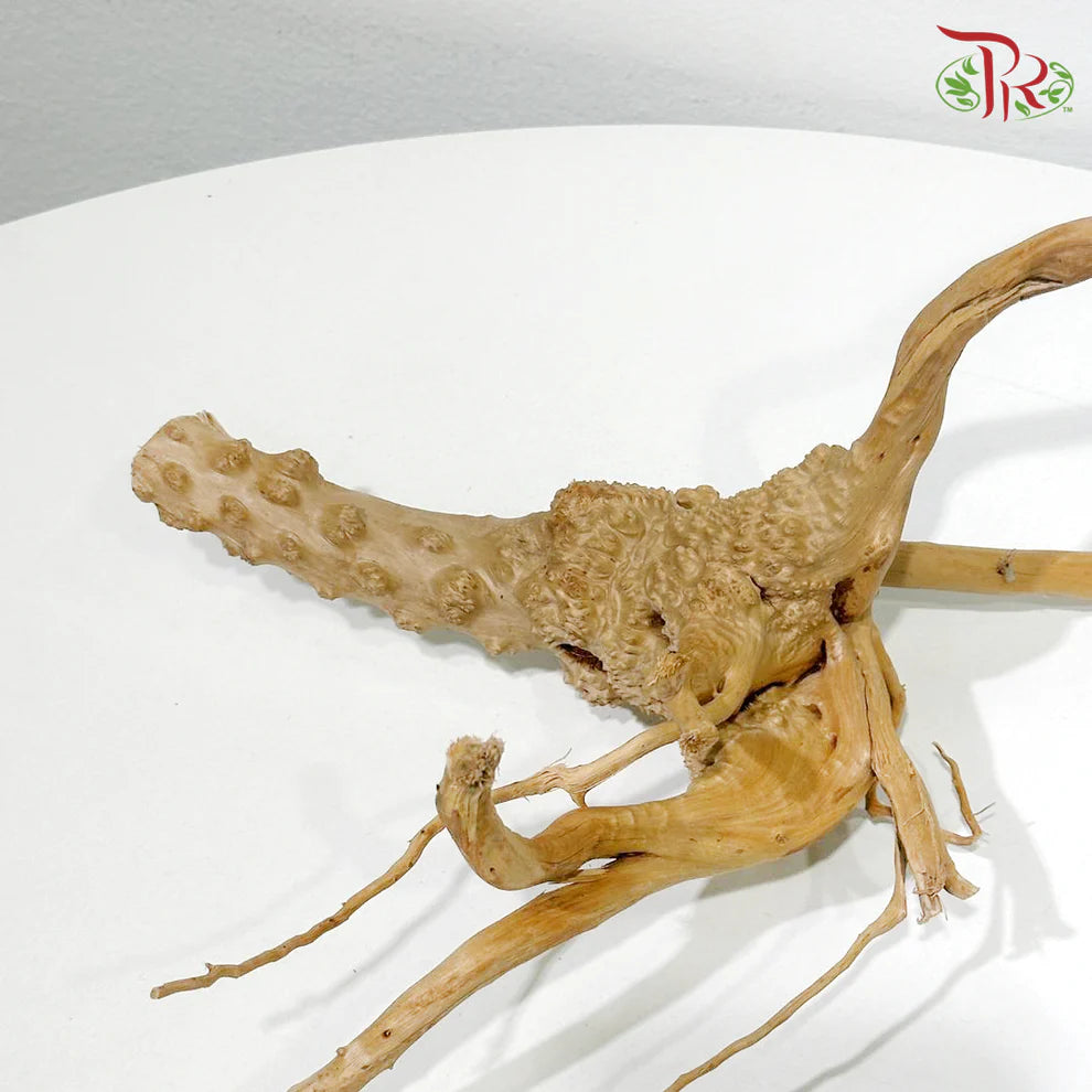 LITTLE TREE ROOT 小树根 1KG