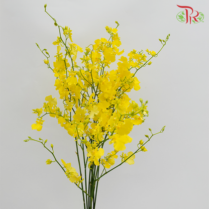 Dancing Lady Yellow Lips - Pudu Ria Florist Southern