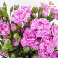 Carnation Spray Lollipop  (18-20 Stems) - Pudu Ria Florist Southern