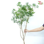 Pieris Japonica Leaf 100CM - (Per Stem)