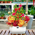 CNY Potted Plant Arrangement 2025#40