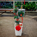 CNY Potted Plant Arrangement 2025#43