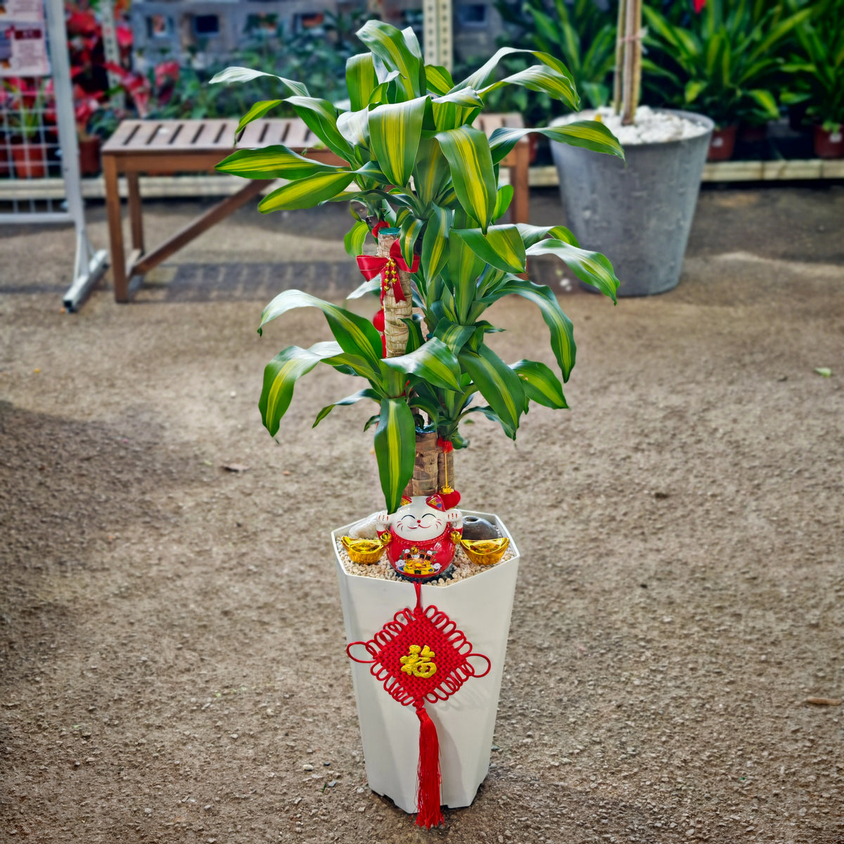 CNY Potted Plant Arrangement 2025#44