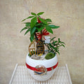 CNY Potted Plant Arrangement 2025#47