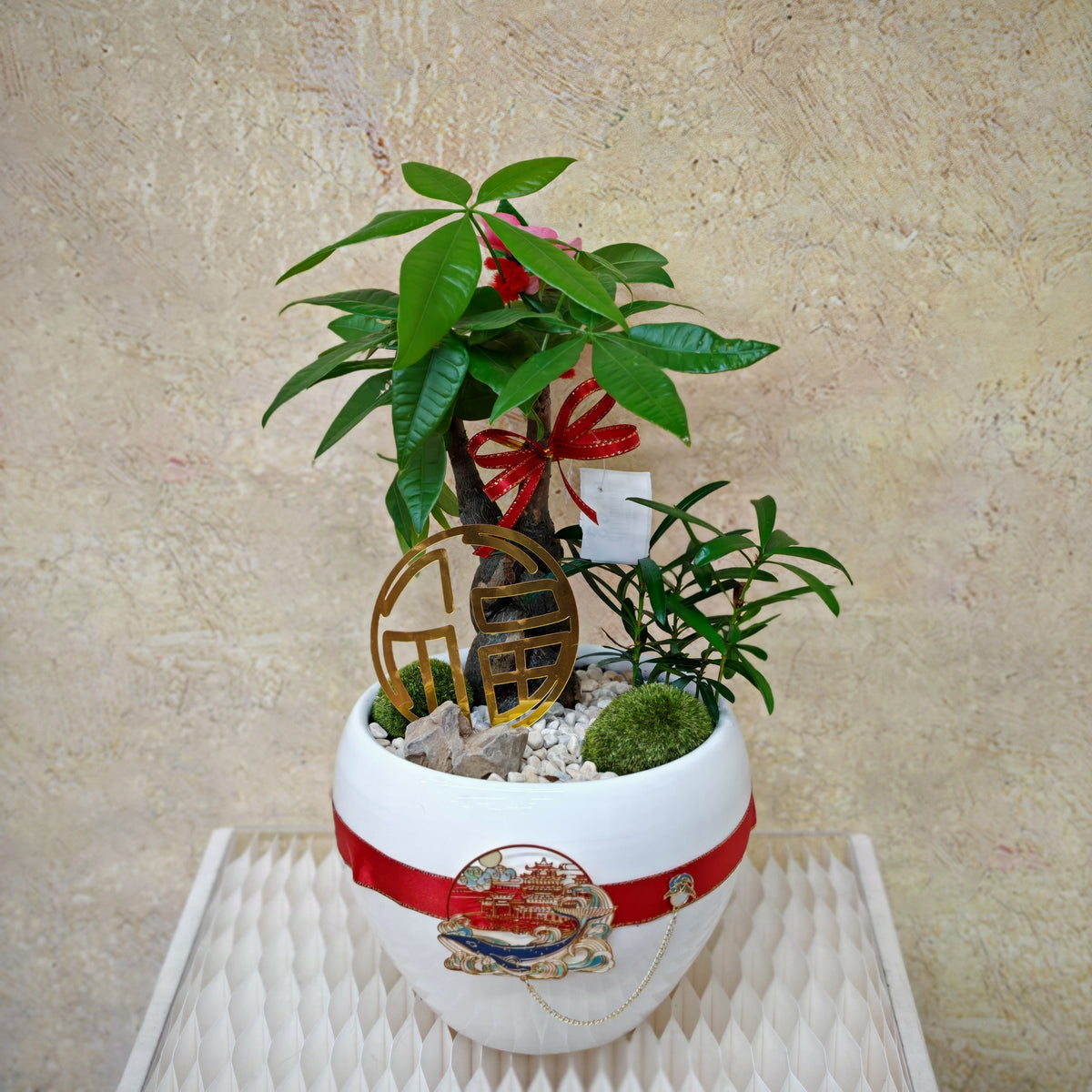 CNY Potted Plant Arrangement 2025#47