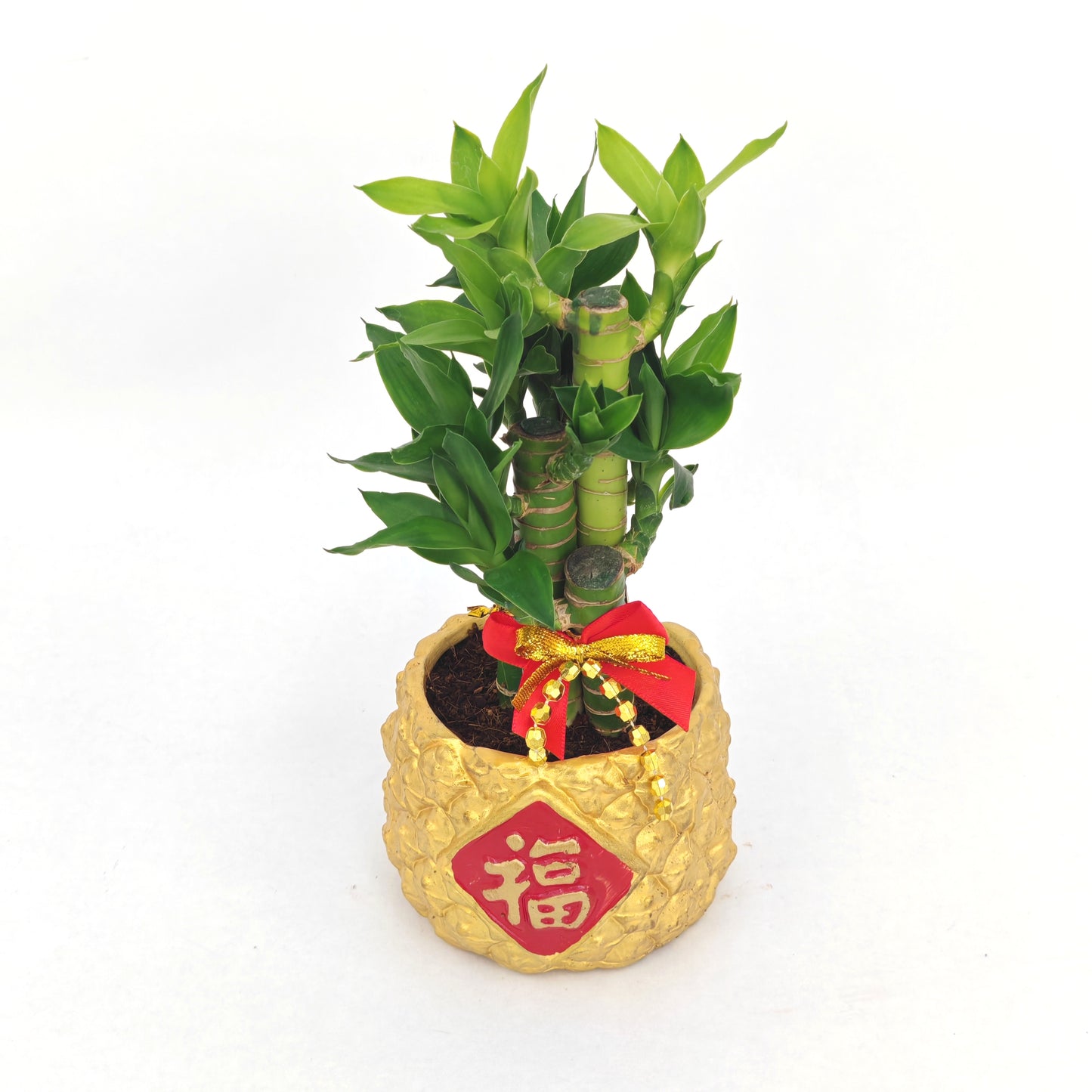 CNY26-GF10 Gold Full - 5in1