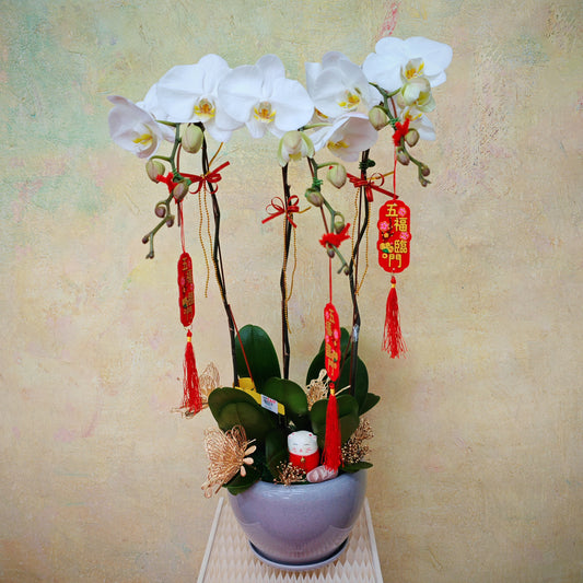 CNY Phalaenopsis Arrangement 2025 #1