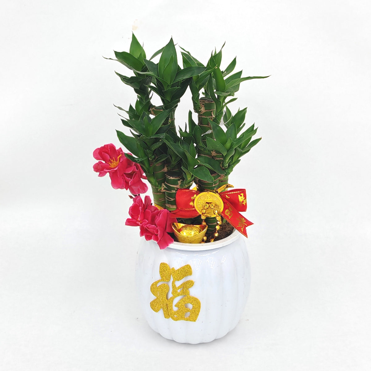CNY26-HD44 Hydroponic Great Growing - 3IN1