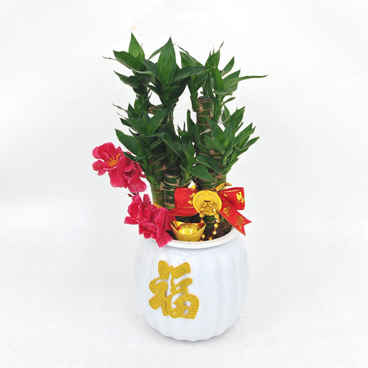 CNY26-HD44 Hydroponic Great Growing - 3IN1