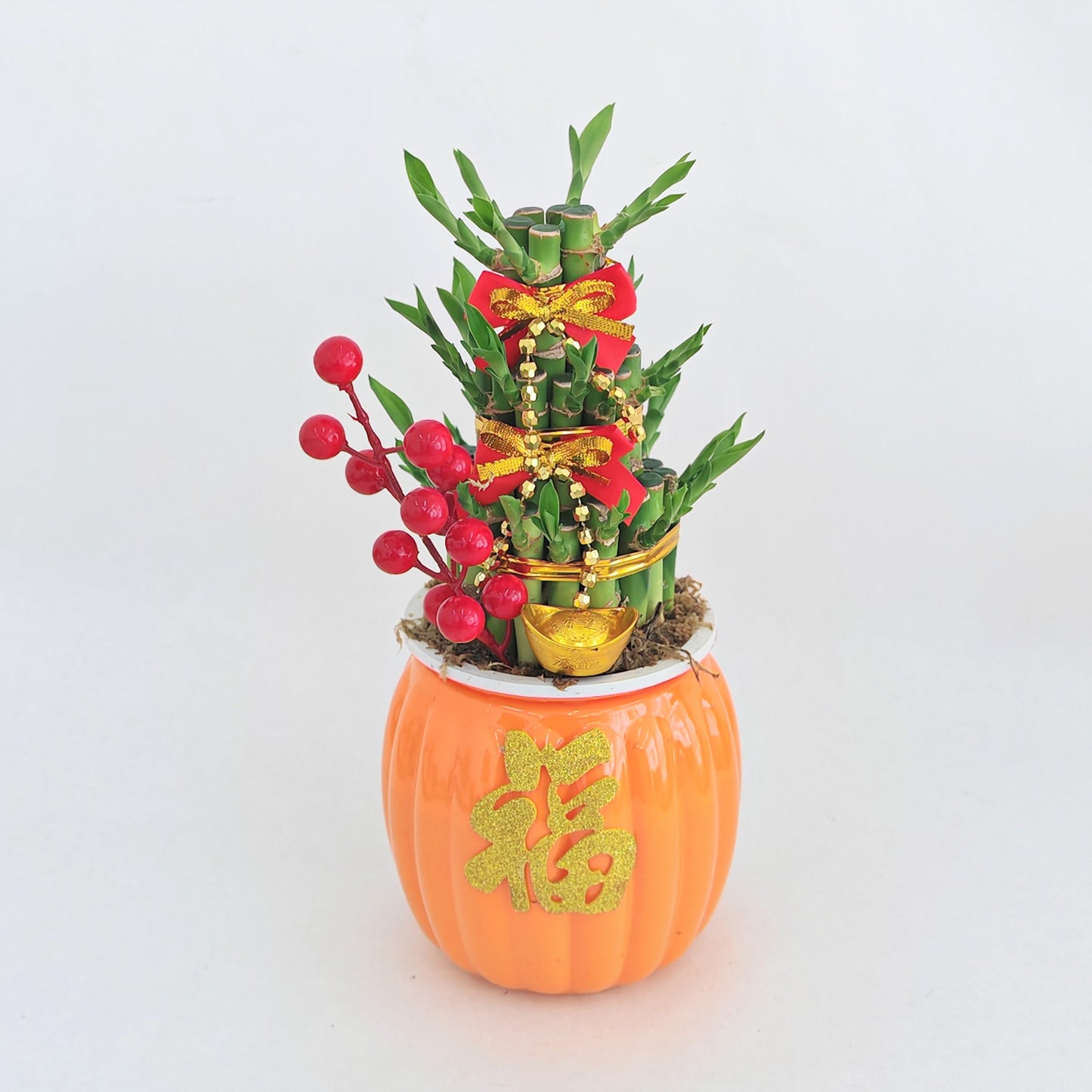 CNY26-HD-CNY5 Hydroponic Great Growing - 3L