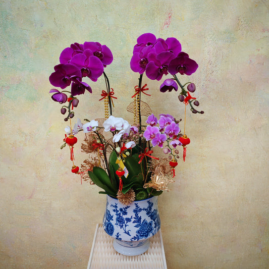 CNY Phalaenopsis Arrangement 2025 #7