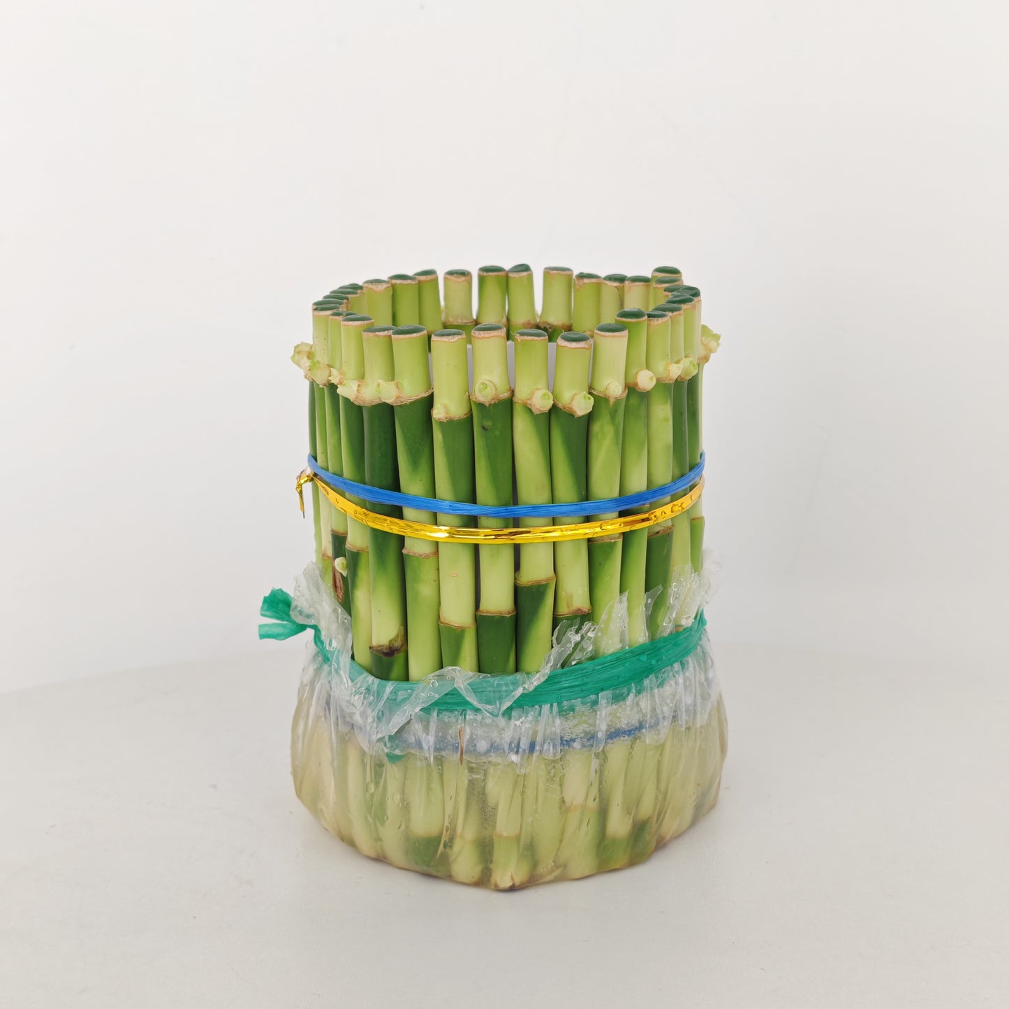 Feng Shui Bamboo 3 Inci