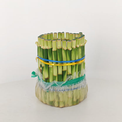 Feng Shui Bamboo 3 Inci