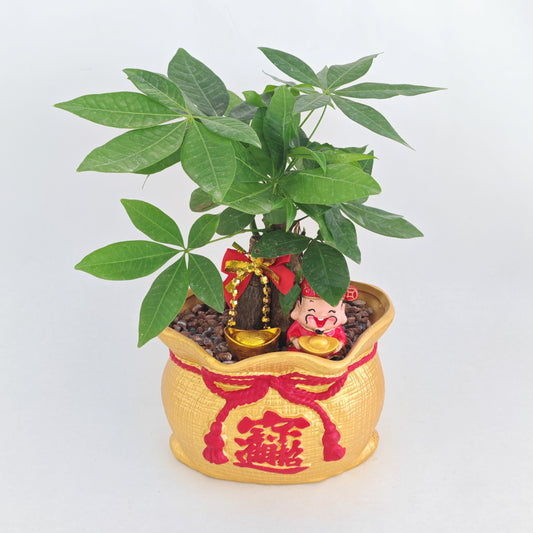 CNY26-GF9 Treasure Bag - Yellow