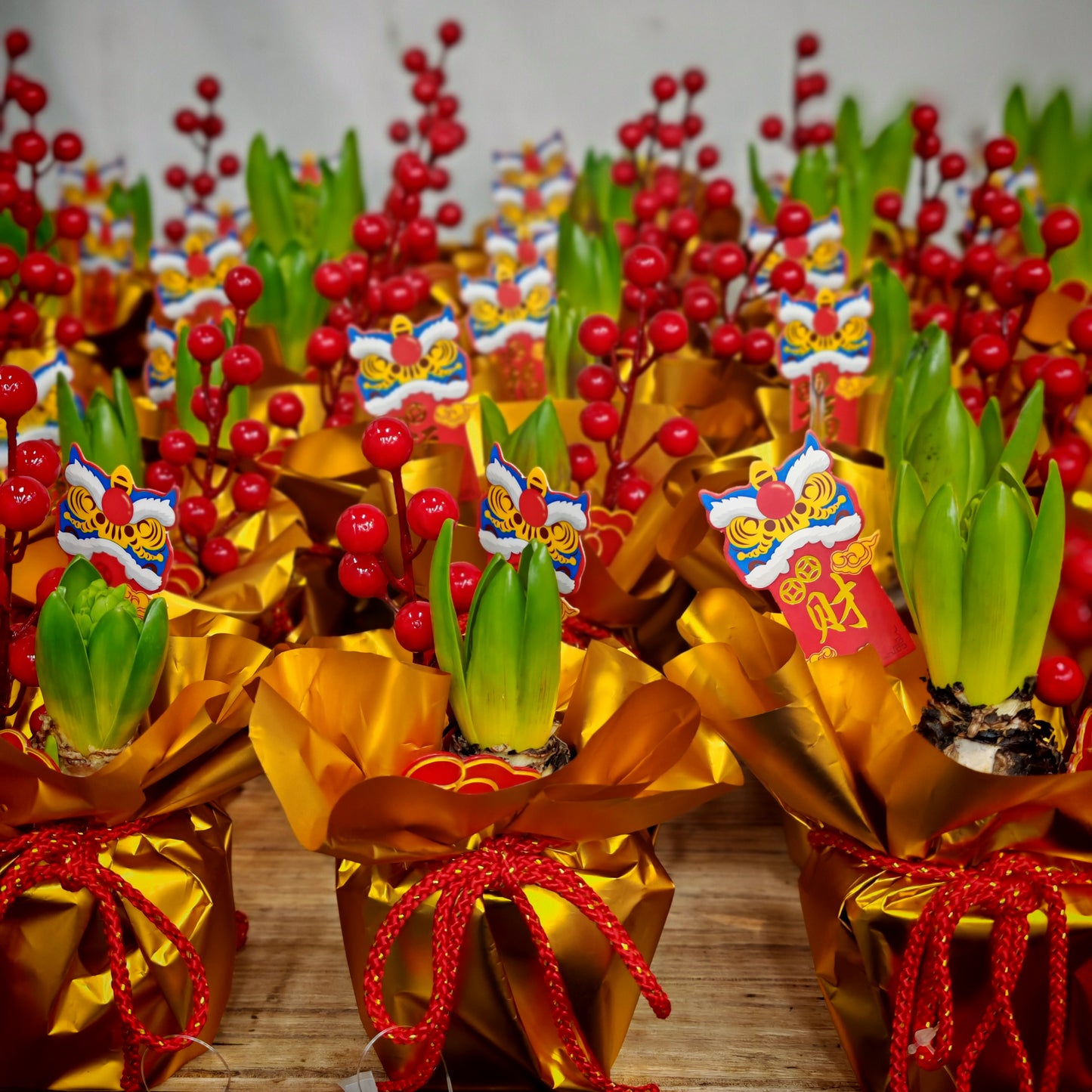 CNY Potted Plant Arrangement 2025#49