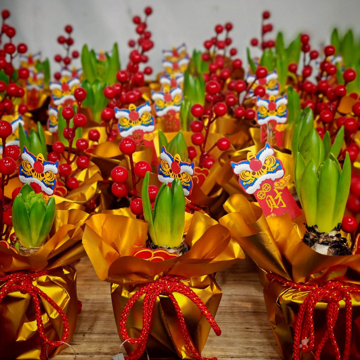 CNY Potted Plant Arrangement 2025#49