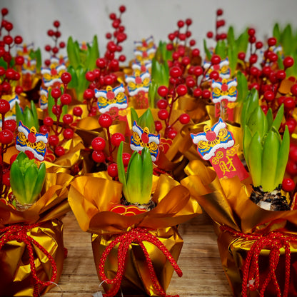 CNY Potted Plant Arrangement 2025#49