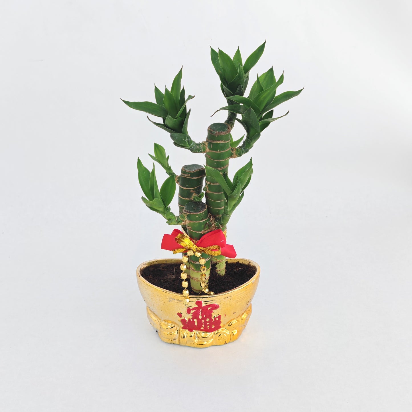 CNY26-GF4 Ingot Bowl