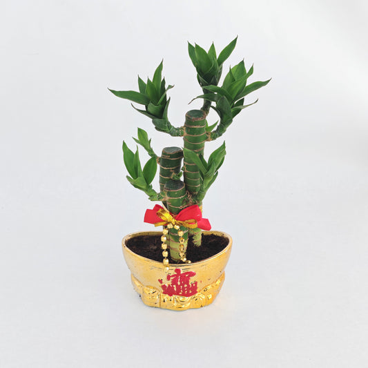 CNY26-GF4 Ingot Bowl