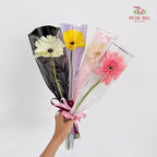 Single-Stem Gerbera Bouquet (10-Pack Set)