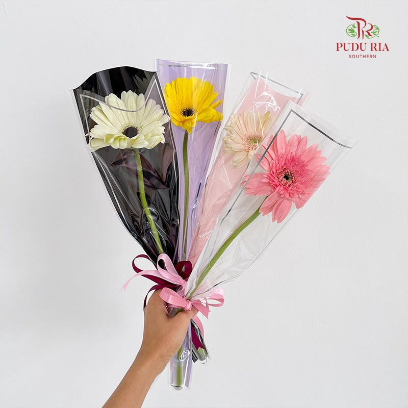 Single-Stem Gerbera Bouquet (10-Pack Set)