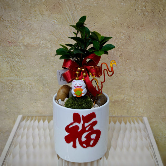 CNY Potted Plant Arrangement 2025#46