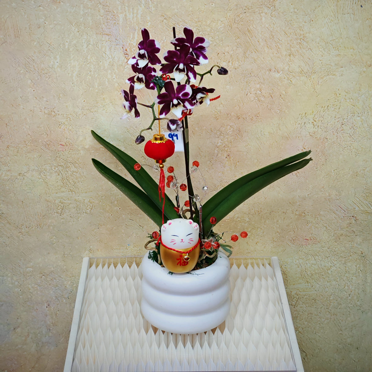 CNY Phalaenopsis Arrangement 2025 #11