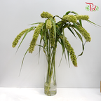 Setaria - Pudu Ria Florist Southern