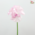 Sweet Pea Light Pink / 5 Stems - Pudu Ria Florist Southern
