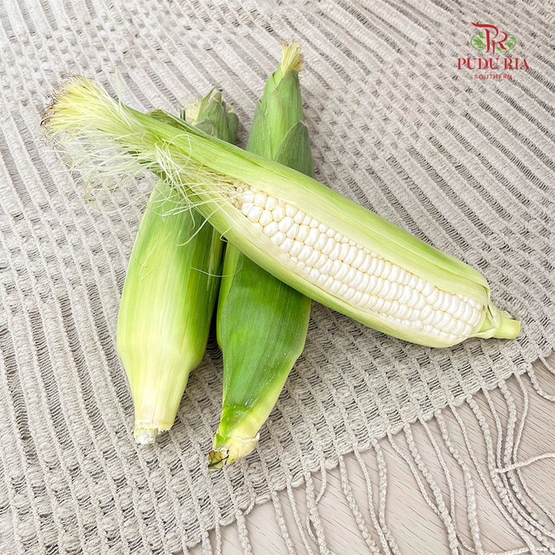 Sweet Corn White 甜白玉米 - (3 Pieces)