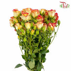 Rose Spray Bicolour Yellow/Red (8-10 Stems) - Pudu Ria Florist Southern