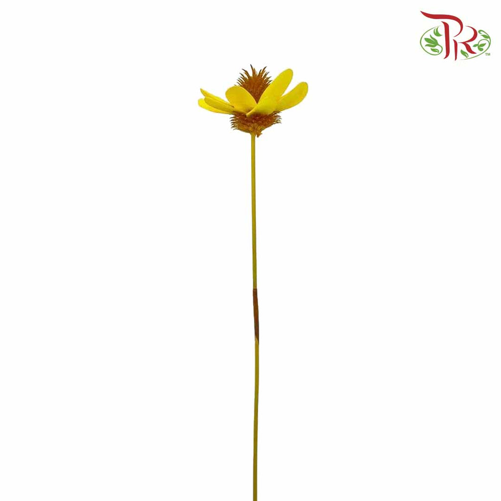 Dry Stella Luna - Yellow - Pudu Ria Florist Southern