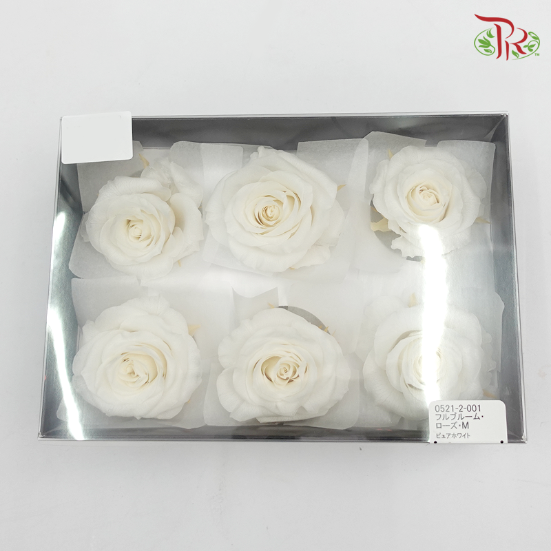 Preservative Full Bloom Rose (6 Blooms) - White - Pudu Ria Florist Southern