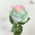 Rose Mondial Dyed Jellyfish (8-10 Stems) - Pudu Ria Florist Southern