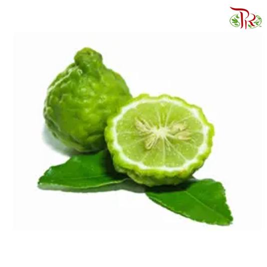 Kaffir Lime (1KG) - Pudu Ria Florist Southern