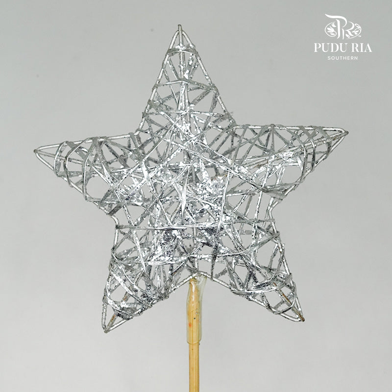 Stick Xmas Deco (Silver Star) - per stems - Pudu Ria Florist Southern