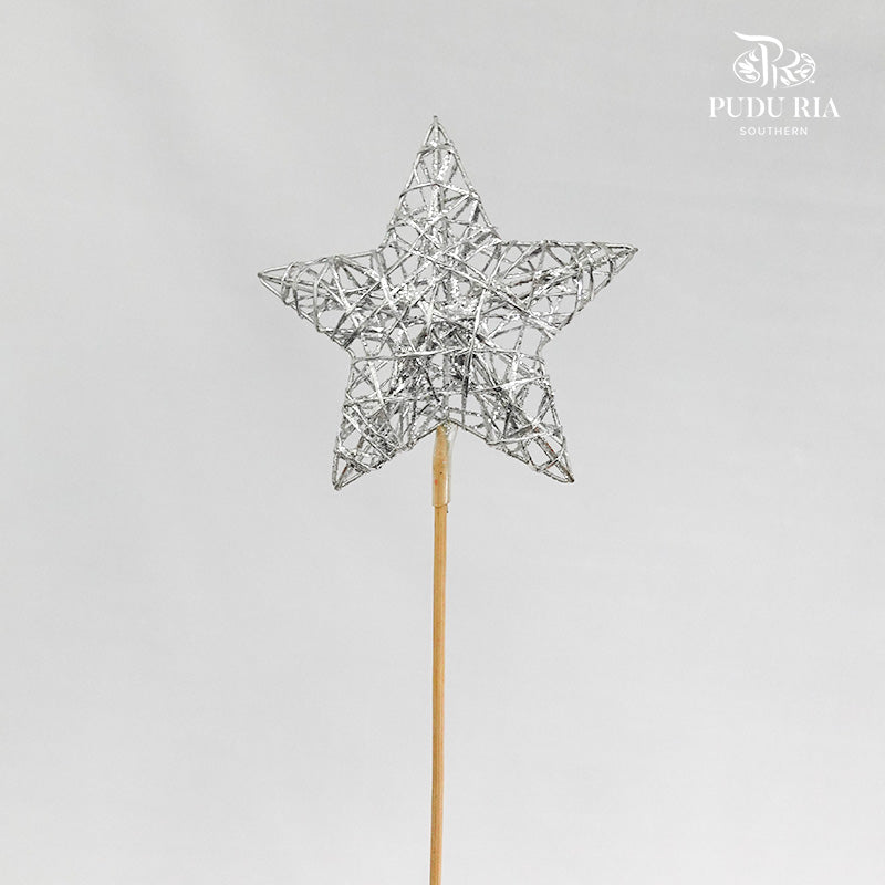 Stick Xmas Deco (Silver Star) - per stems - Pudu Ria Florist Southern